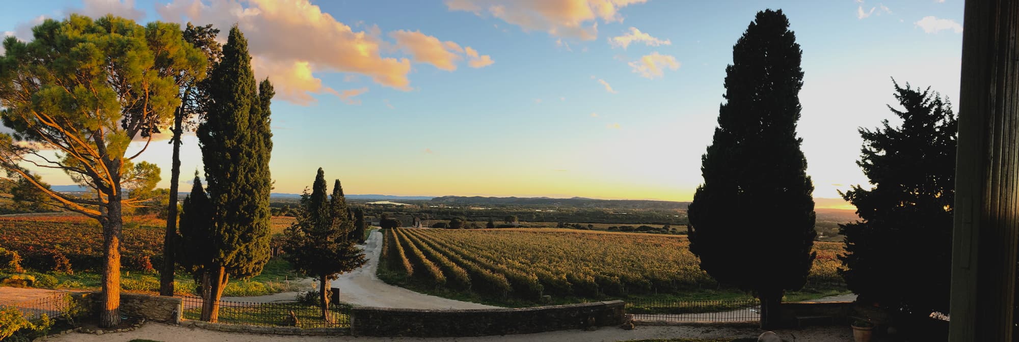 Château de la Gardine — vue du domaine